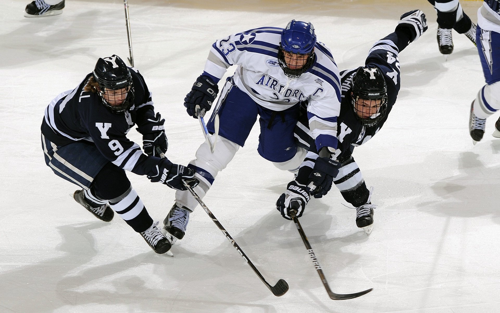 _鹈鹕队潜力无限，逐步追赶领先者_，鹈鹕队改名前是哪个队